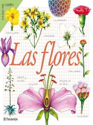 cover image of Las flores